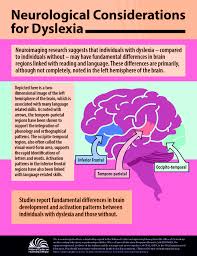 Neurological Considerations for Dyslexia